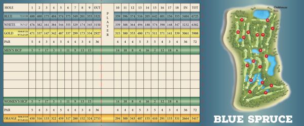 Blue Spruce Scorecard
